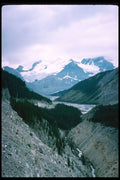 276076 Jasper National Park, Sunwapta Pass A4 Photo Print