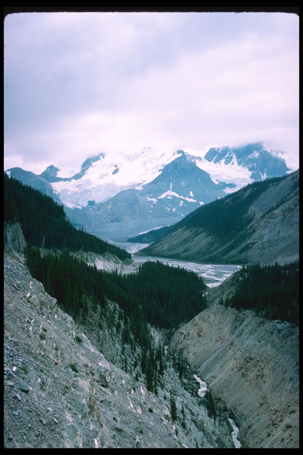 276076 Jasper National Park, Sunwapta Pass A4 Photo Print