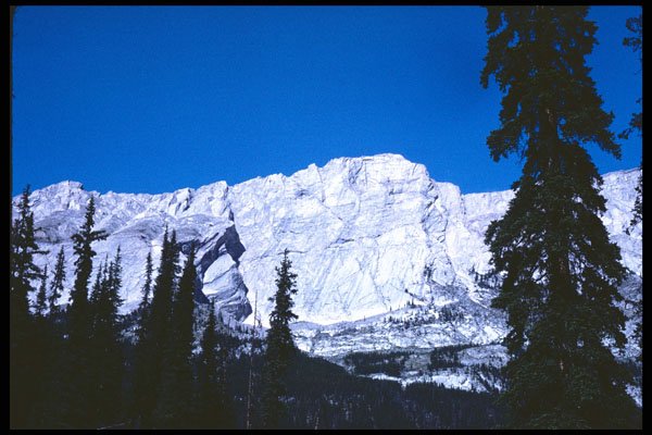 276077 Jasper National Park, Jacques Range A4 Photo Print