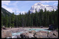 276082 Yoho National Park, Natural Bridge A4 Photo Print