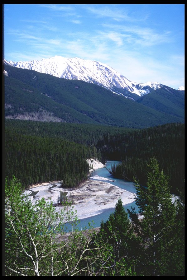 276083 Kootenay National Park A4 Photo Print