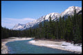 276085 Kootenay National Park, Vermilion River A4 Photo Print
