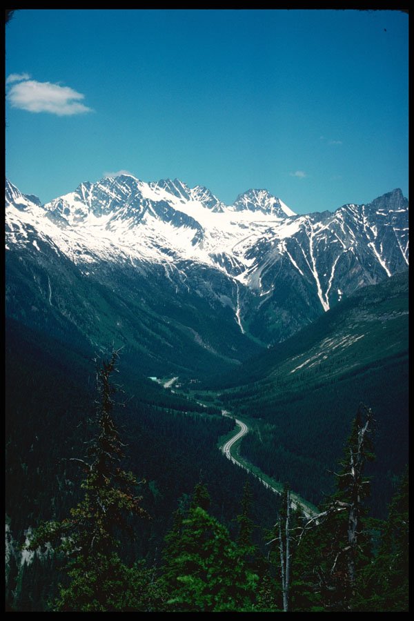276090 Glacier National Park, Rodgers Pass A4 Photo Print