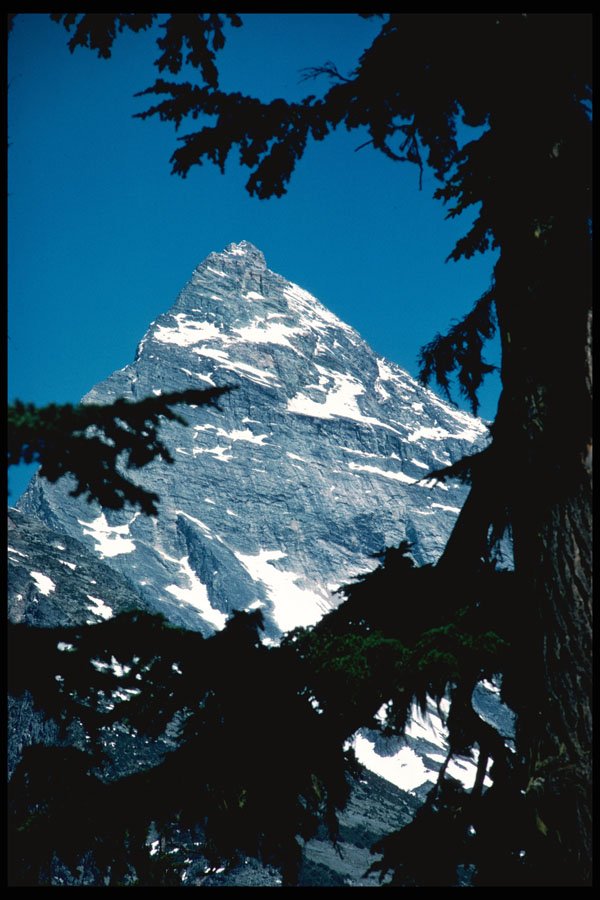 276091 Glacier National Park, Mount Sir Donald A4 Photo Print