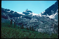 276096 Glacier National Park, Illecillewaet Glacier A4 Photo Print