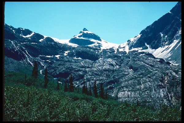 276096 Glacier National Park, Illecillewaet Glacier A4 Photo Print