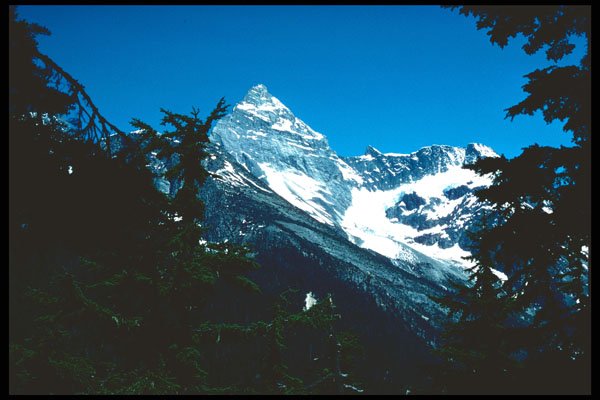 276099 Glacier National Park, Mount Sir Donald A4 Photo Print
