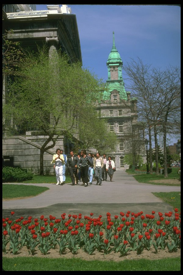 277012 City Hall, Notre Dame, Old Montreal A4 Photo Print
