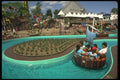 277022 Children's World, La Ronde A4 Photo Print