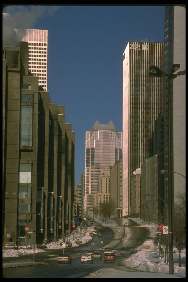 277035 University Street A4 Photo Print