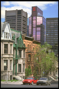 277039 Peel Street A4 Photo Print