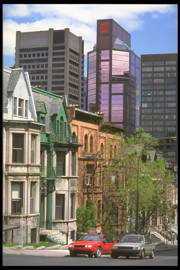 277039 Peel Street A4 Photo Print