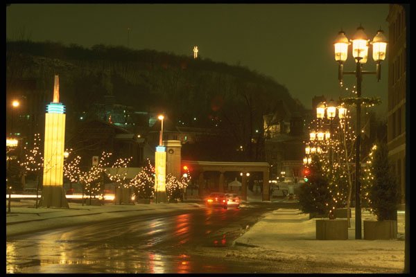 277050 The Mountain And McGill College St. A4 Photo Print