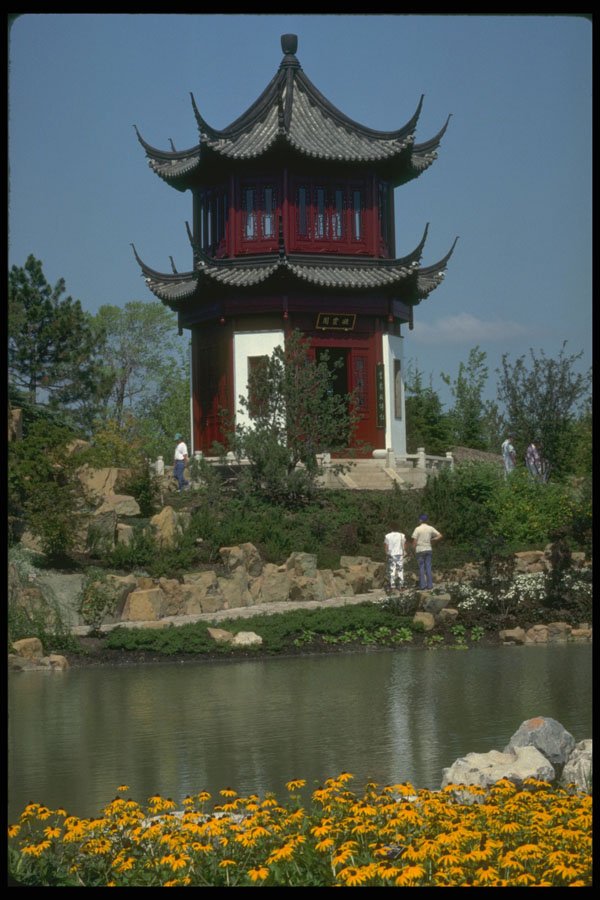 277066 Chinese Garden, Botannical Gardens A4 Photo Print