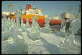 277076 Ice Sculptures, Fetes Des Neiges A4 Photo Print