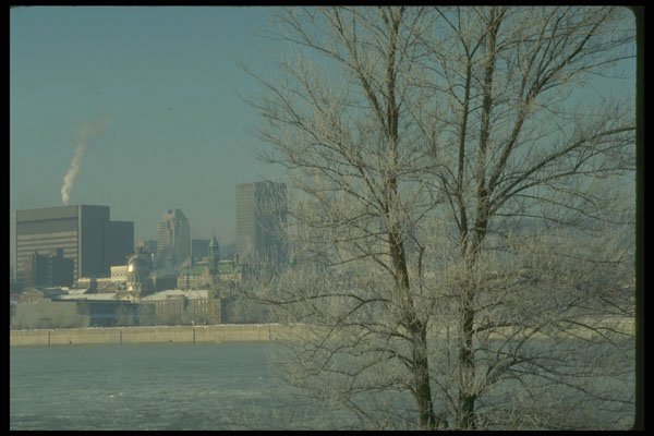 277086 Hoarfrost, Montreal A4 Photo Print
