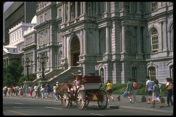 277099 City Hall Notre Dame St. A4 Photo Print