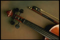 278011 Violin Neck And Bow A4 Photo Print