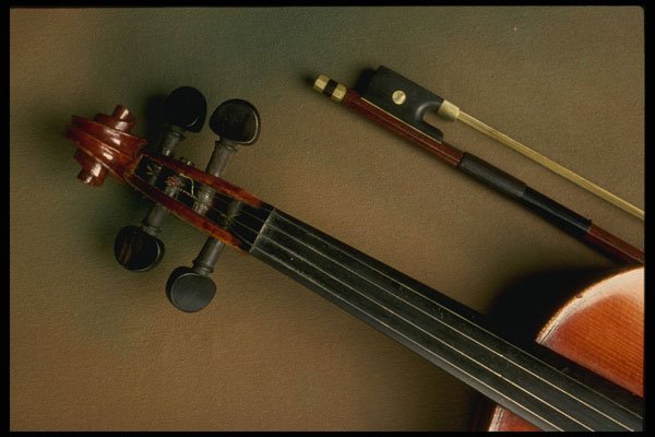 278011 Violin Neck And Bow A4 Photo Print