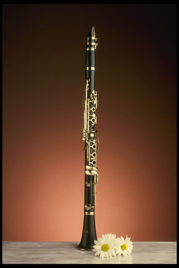 278014 Clarinet A4 Photo Print