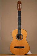 278016 Guitar A4 Photo Print