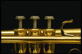 278017 Trumpet Keys A4 Photo Print