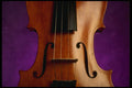 278018 Violin Body A4 Photo Print