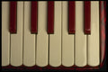 278022 Accordion Keys A4 Photo Print