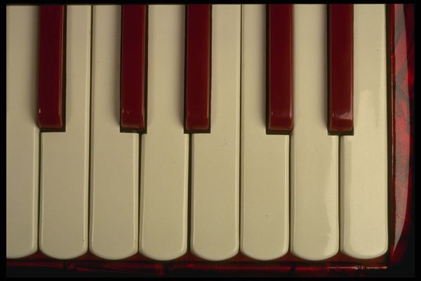 278022 Accordion Keys A4 Photo Print