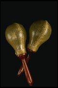 278026 Maracas A4 Photo Print