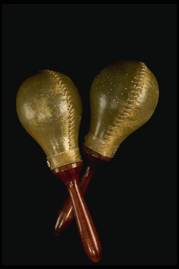 278026 Maracas A4 Photo Print