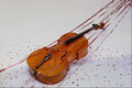278027 Violin A4 Photo Print