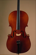 278030 Violin A4 Photo Print