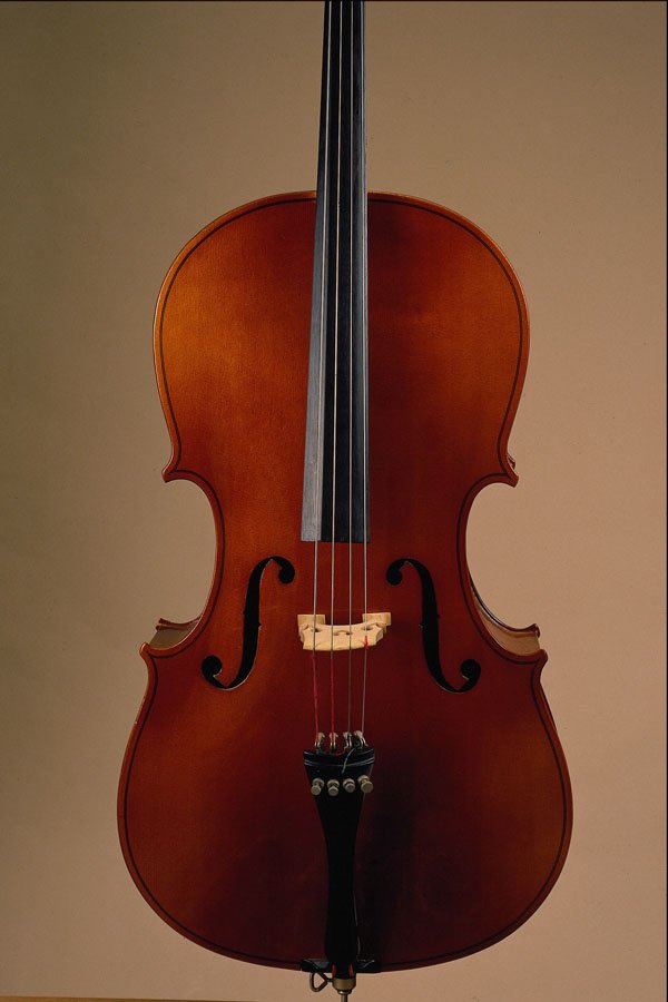 278030 Violin A4 Photo Print