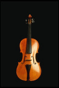 278033 Violin A4 Photo Print