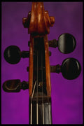 278039 Violin Neck A4 Photo Print