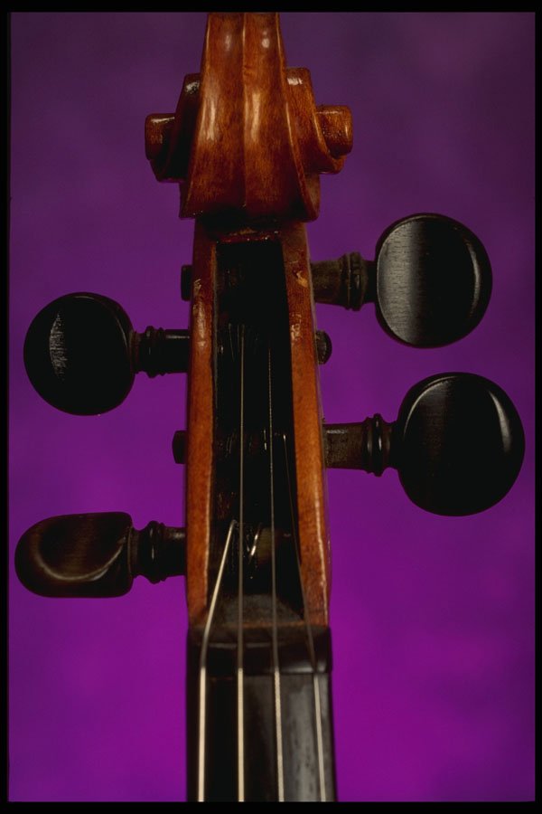 278039 Violin Neck A4 Photo Print