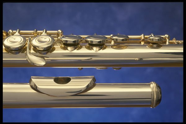 278044 Flute A4 Photo Print