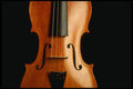 278053 Violin Body A4 Photo Print
