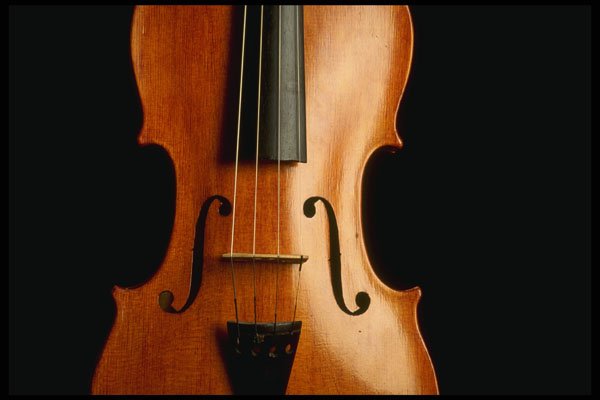 278053 Violin Body A4 Photo Print