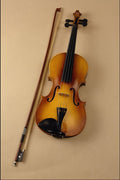 278061 Violin A4 Photo Print