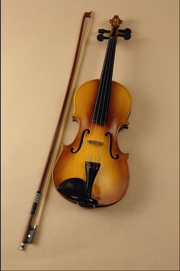 278061 Violin A4 Photo Print