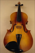 278066 Violin A4 Photo Print