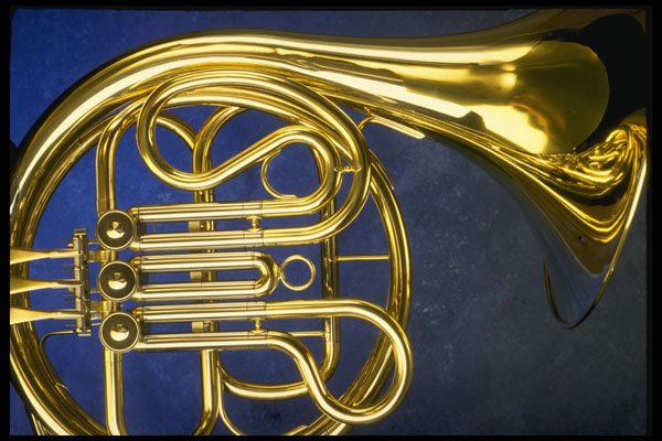 278068 French Horn A4 Photo Print