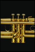 278070 Trumpet Keys A4 Photo Print