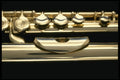 278075 Flute A4 Photo Print