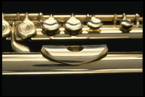 278075 Flute A4 Photo Print