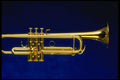 278078 Trumpet A4 Photo Print