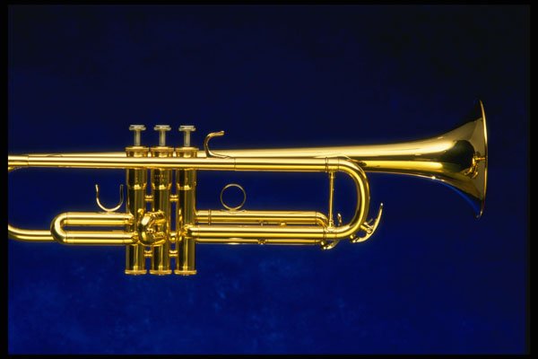 278078 Trumpet A4 Photo Print