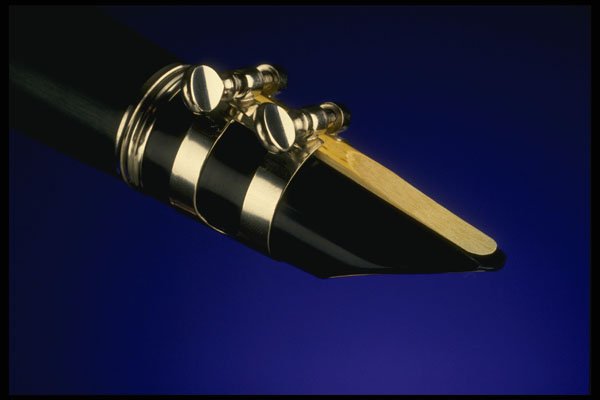 278079 Clarinet Mouthpiece A4 Photo Print